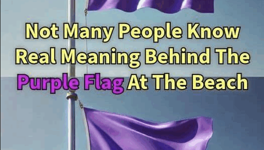 The Meaning of a Purple Flag at the Beach