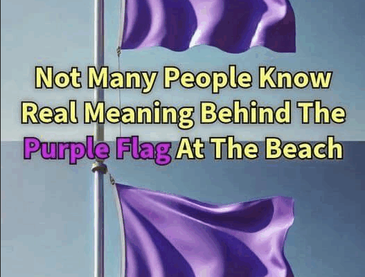 The Meaning of a Purple Flag at the Beach