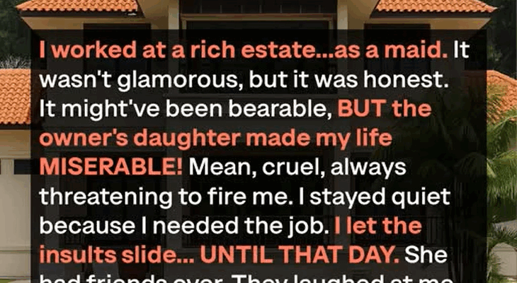 They Mocked Me for Being a Maid — Until They Saw My Ring