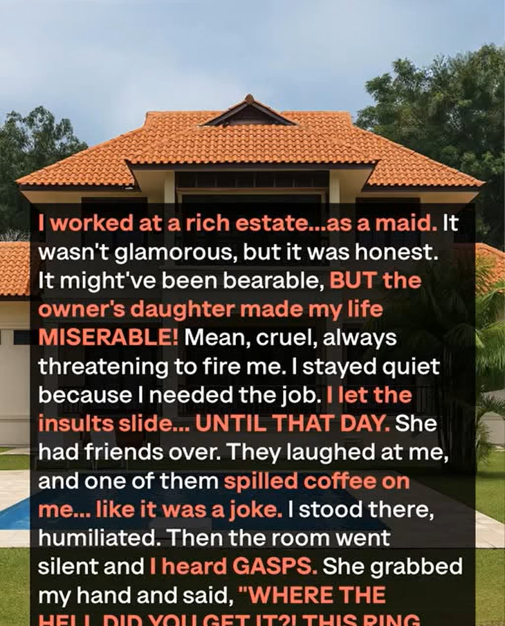 They Mocked Me for Being a Maid — Until They Saw My Ring