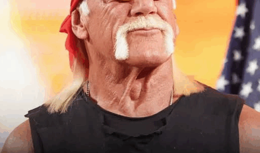 Wrestling Legend Hulk Hogan Dies At 71