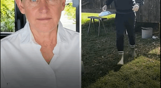 Ellen DeGeneres Opens Up About Her Move to the UK and Life Away from the Spotlight