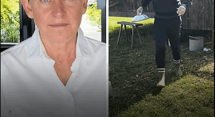 Ellen DeGeneres Opens Up About Her Move to the UK and Life Away from the Spotlight