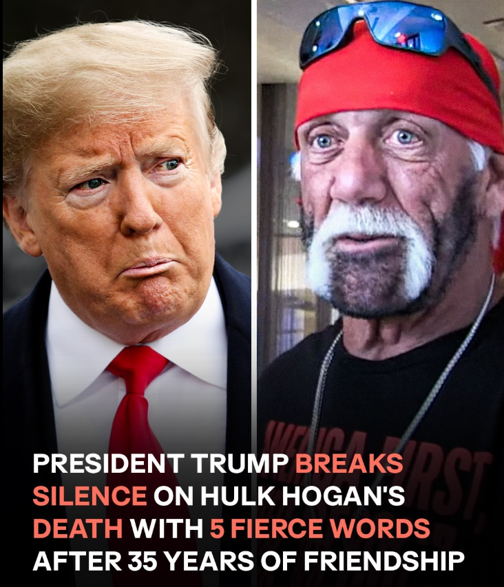Donald Trump Speaks Out on Hulk Hogan’s Death