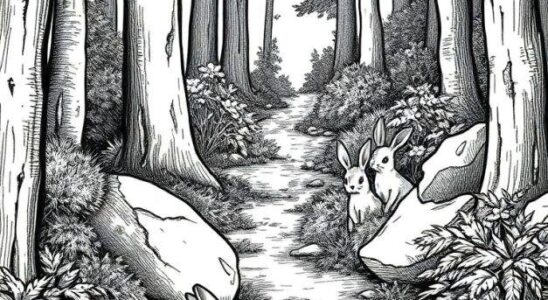 Only those with sharp eyes can detect where the woman is hidden
