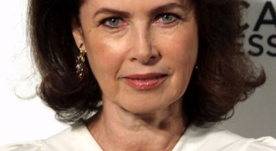 Actress & Supermodel Passed Away Due To Suspected Carbon Monoxide Leak