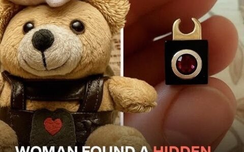 My Daughter Refused to Let Go of Her New Teddy Bear Until I Discovered a Hidden Camera Inside