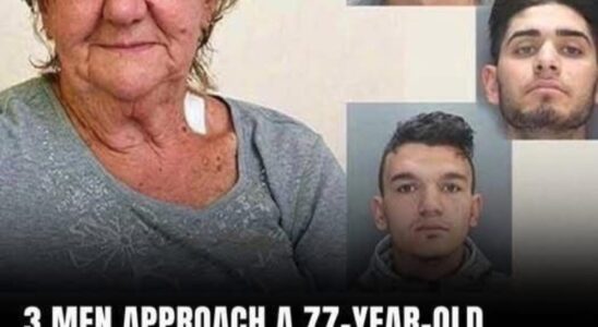 3 men approach a 77-year-old grandmother at the ATM: they immediately realize that they have chosen the wrong person to rob