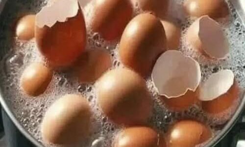 Don’t Toss Those Eggshells: 17 Ways to Reuse Them