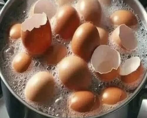 Don’t Toss Those Eggshells: 17 Ways to Reuse Them