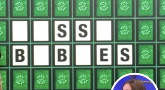 Wheel of Fortune’ Contestant’s Controversial Puzzle Answer Divides Fans