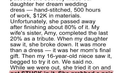 The Dress My Wife Made While Dying Was Destroyed—And My Niece Paid the Price