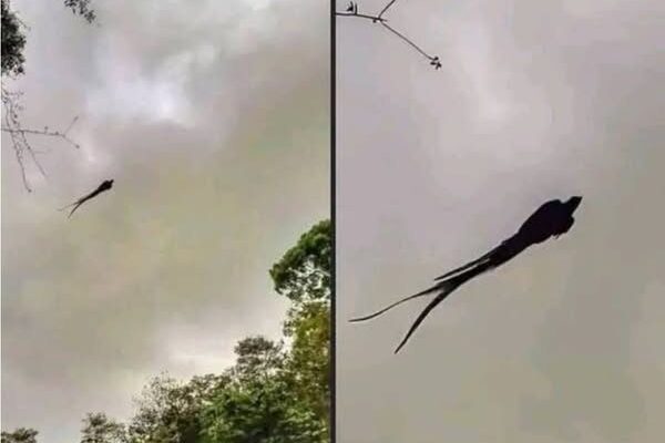 A Peculiar Photograph Has Been Circulating on Social Media in Recent Hours — But There’s No Reason to Panic