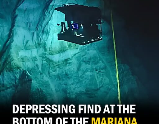 Depressing find at the bottom of the Mariana Trench is a warning to the world