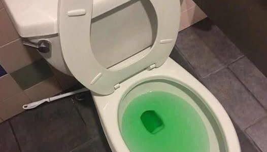 Our toilet got clogged so badly that we called a plumber