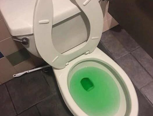 Our toilet got clogged so badly that we called a plumber