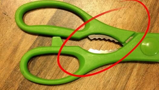 What Is That Weird Toothed Part on Kitchen Scissors For?