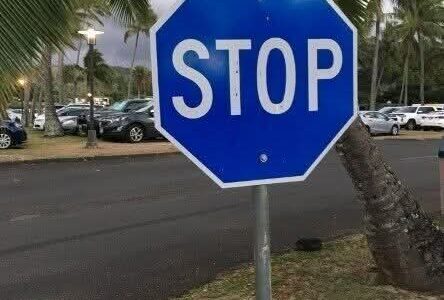 This is The Meaning Behind a Blue Stop Sign in…