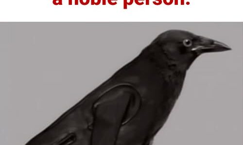 The first thing you see reveals if you are a noble person.