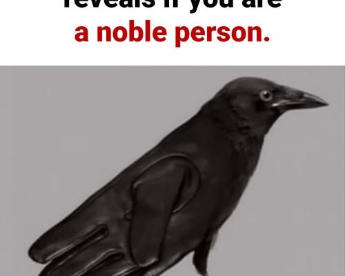 The first thing you see reveals if you are a noble person.
