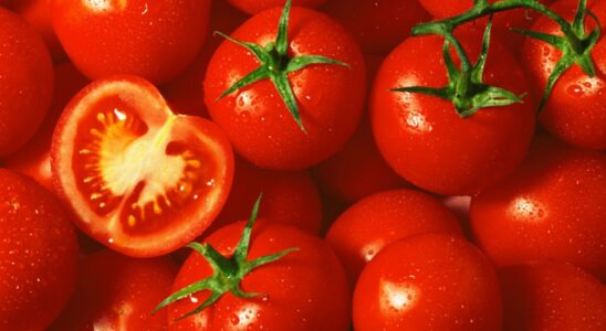 Eating tomatoes: an ally for your health and your kitchen