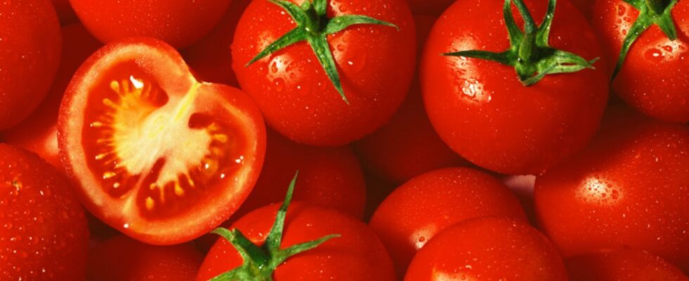 Eating tomatoes: an ally for your health and your kitchen