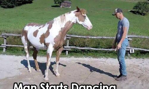 Man Begins Dancing, but His Horse Takes Center Stage