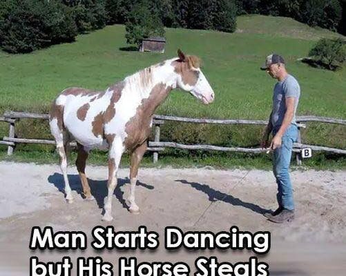 Man Begins Dancing, but His Horse Takes Center Stage