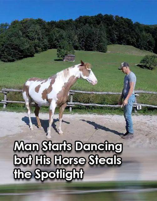 Man Begins Dancing, but His Horse Takes Center Stage