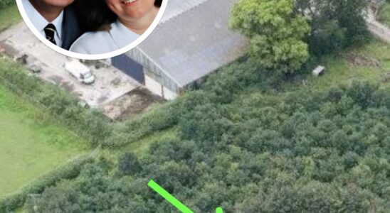 Husband Plants 6,000 Trees To Honor Deceased Wife, 15 Years Later Photos Reveal His True Motive
