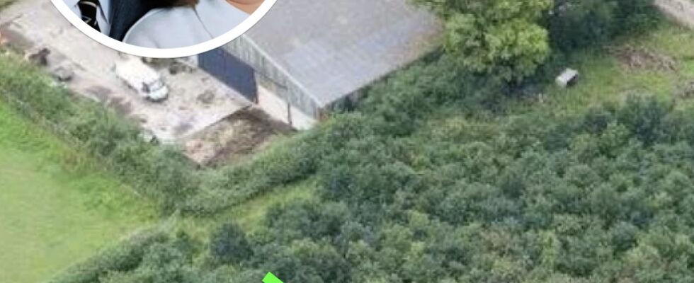 Husband Plants 6,000 Trees To Honor Deceased Wife, 15 Years Later Photos Reveal His True Motive
