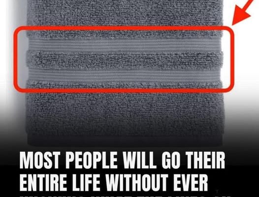 The real purpose of those mysterious lines on towels and…
