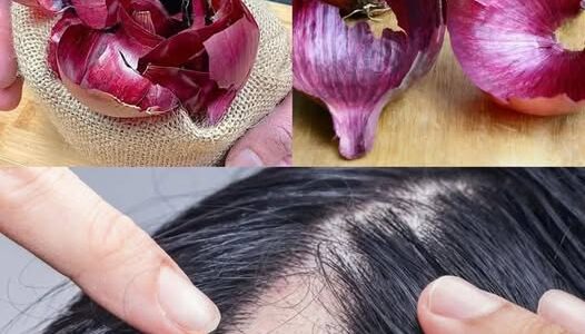 5 Simple Homemade Conditioners To Repair Your Hair Like A Charm