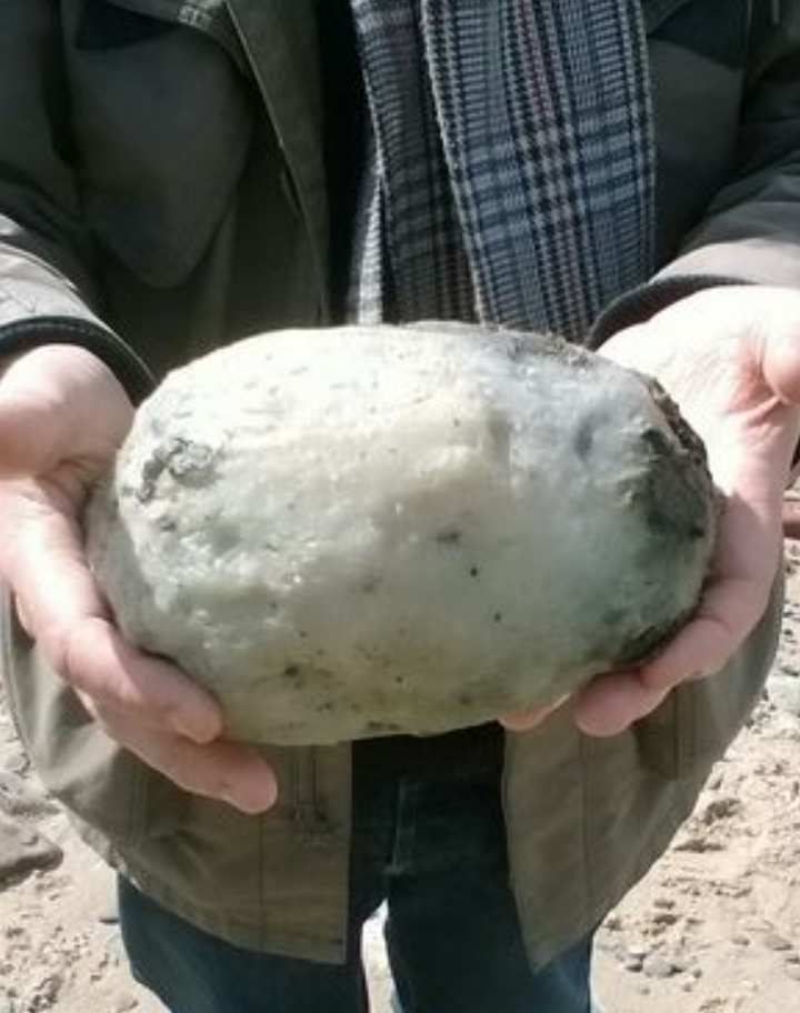 Couple Stunned After Stumbling Across “Weird Stone” On The Beach – And It Could Be Worth £50,000