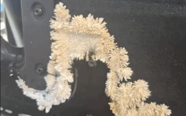 Under the back seat of my car, I noticed something very unusual that kept growing right before my eyes – I was shocked when I found out what it was