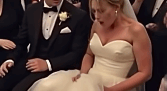 During the wedding, something stirred beneath the bride’s dress! The groom went pale