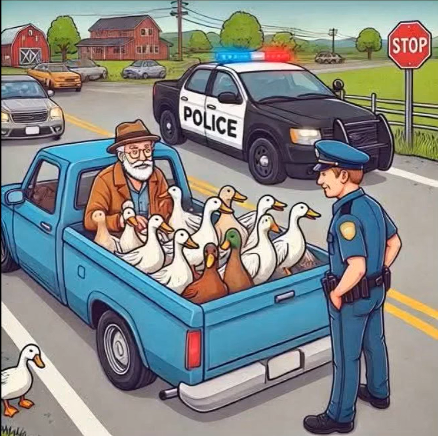 Officer Orders Man to Take Ducks to the Zoo — Next Day They’re Headed to the Beach in Sunglasses
