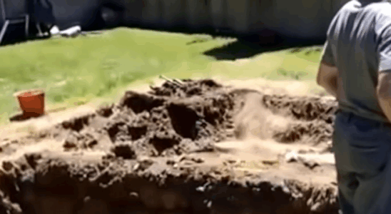 My FIL Destroyed My Garden for a Pool — Karma Made Him Regret It