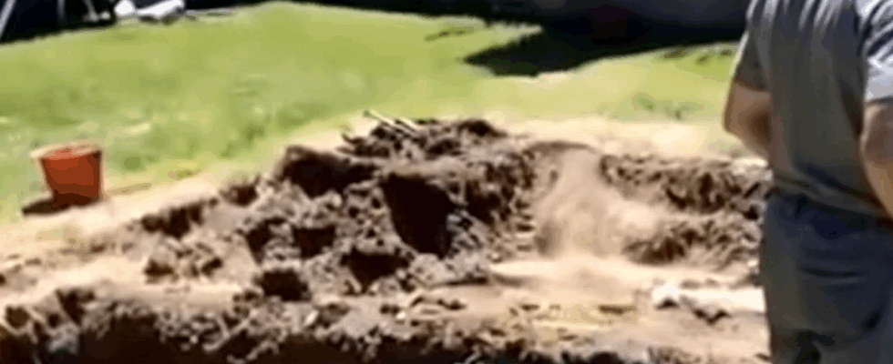 My FIL Destroyed My Garden for a Pool — Karma Made Him Regret It