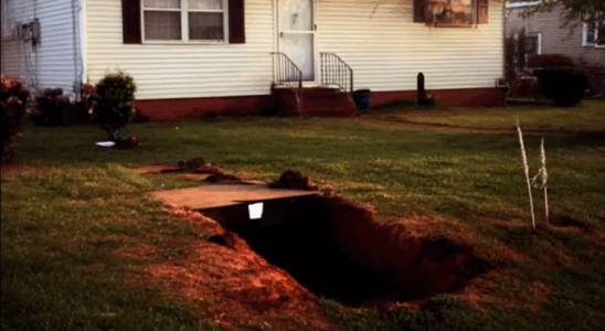 I Returned from Vacation to a Mysterious Hole in My Yard