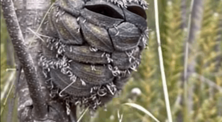 She Thought She Saw A Happy Bird In The Woods, Then Suddenly Realizes Her Mistake