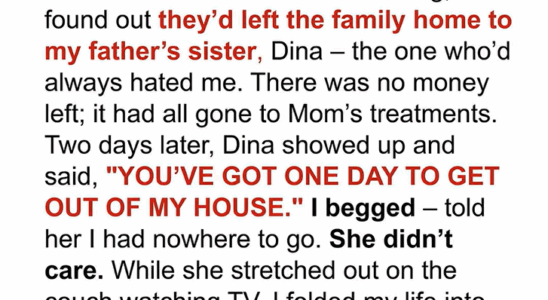 My Aunt Took My Family Home After My Parents Passed — Then a Black Limo Changed Everything