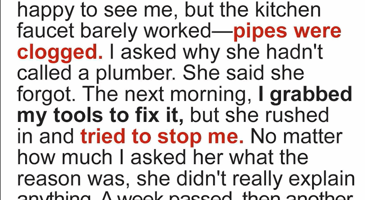 The Secret Hidden in My Mom’s Kitchen Sink Changed Everything