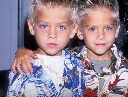 The Sprouse Twins, What Dylan and Cole Are Doing Now