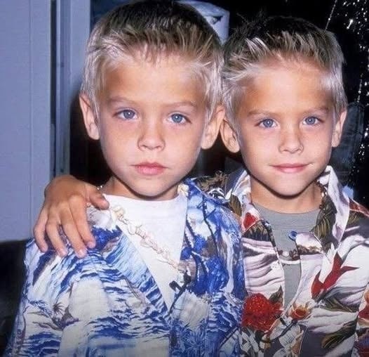 The Sprouse Twins, What Dylan and Cole Are Doing Now