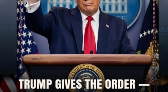 Law Enforcement Confirms Arrest After Months-Long Investigation