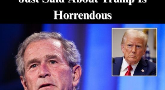 George W. Bush Aligns With Democrats on USAID Funding Concerns George W. Bush Aligns With Democrats on USAID Funding Concerns