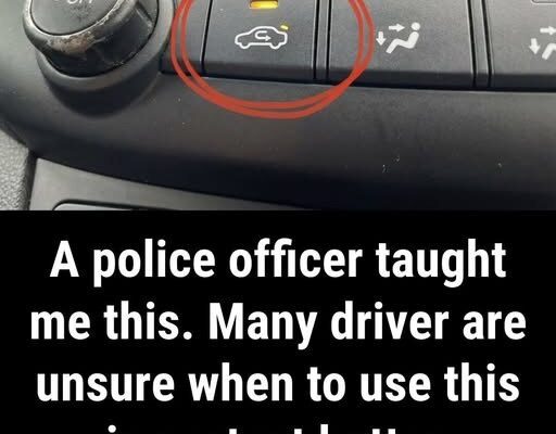 Here’s What the Air Recirculation Button Really Does in Your Car