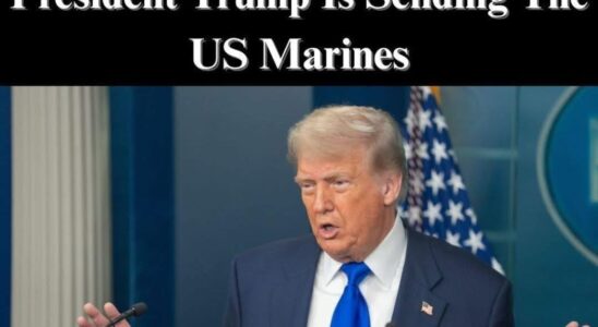 How to Understand the Marine Deployment Supporting ICE Operations